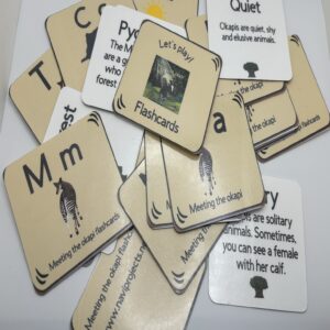 Mini Flashcards « Meeting the Okapi »